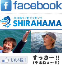 久米島ダイビングセンター しらはまマリンフェイスブック