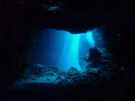 5dive_img16.jpg