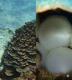 line_oa_chat_260318_092812.jpgのサムネイル画像